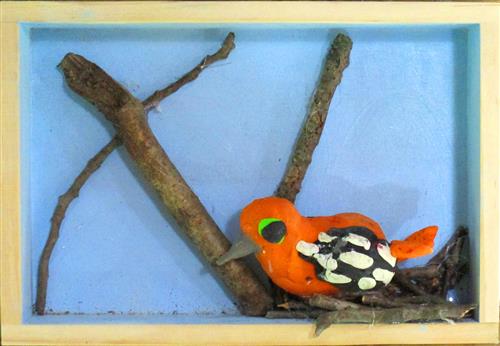 Orange bird in blue shadowbox